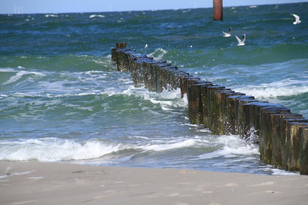 Hotel Garni Inselparadies Zingst Exterior foto